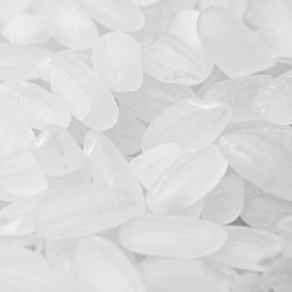 Hydrolyzed Rice Protein