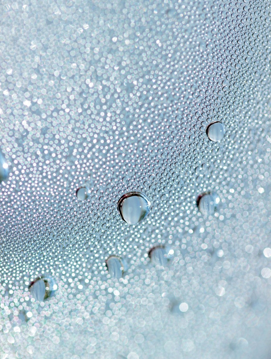Non-Aerosol Hairspray with Plant Protein, texture